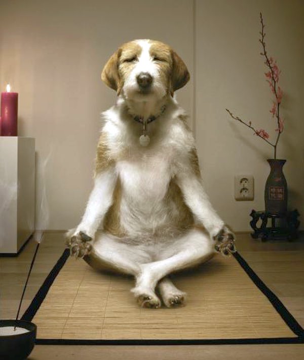 globinska_sprostitev_osebni_trener