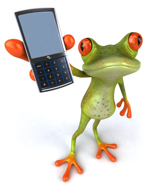 Grenouille avec un téléphone portable
